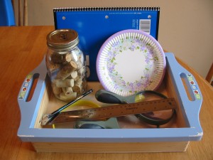 Science Tray w/journal, estimation jar & plates for counting items, ruler and magnifying glasses