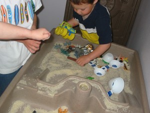 A favorite: Rice table play w/animals, trucks & cups.  I need to change this one more time to a different sensory material and play items before it moves outside for warm weather sand/water play.